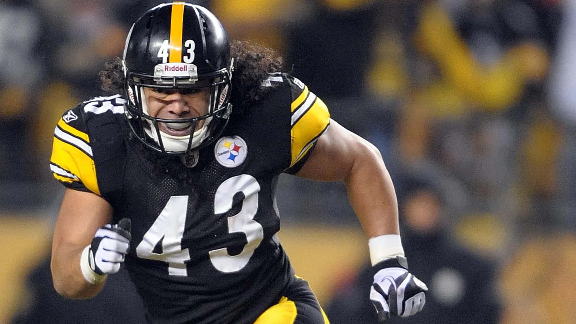 Download Iconic NFL Safety Troy Polamalu Wallpaper  Wallpaperscom