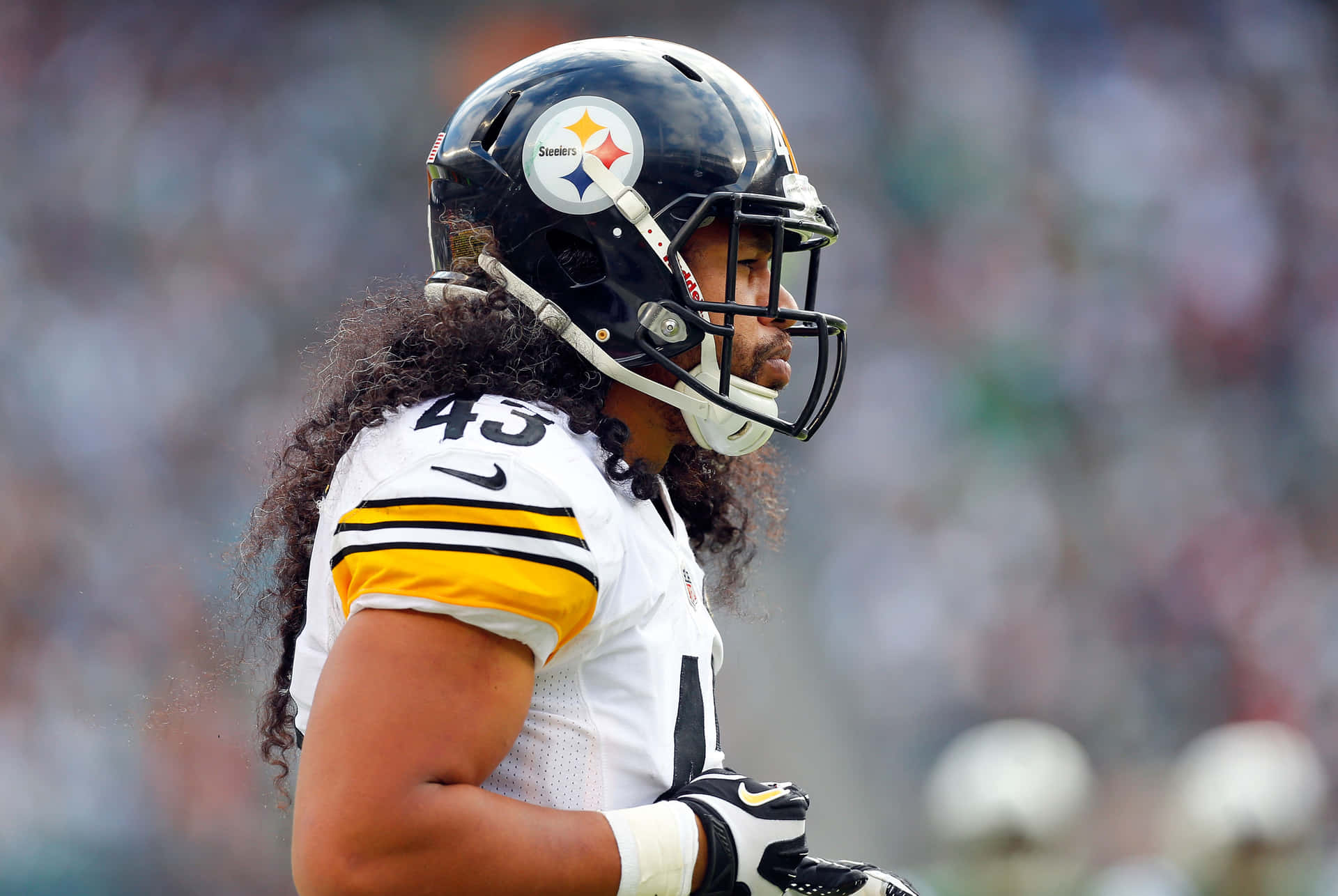 "Troy Polamalu leading the charge" Wallpaper