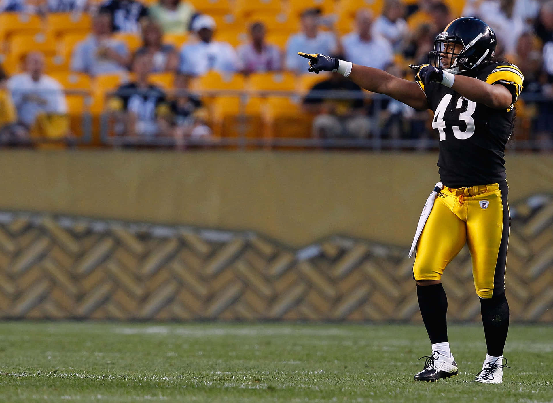Troypolamalu, El Safety De Los Pittsburgh Steelers En El Campo Fondo de pantalla