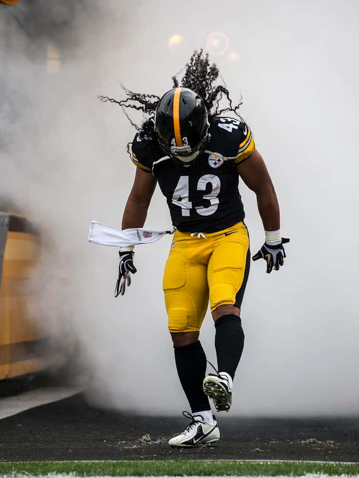 Download Troy Polamalu at the Steelers game Wallpaper  Wallpaperscom