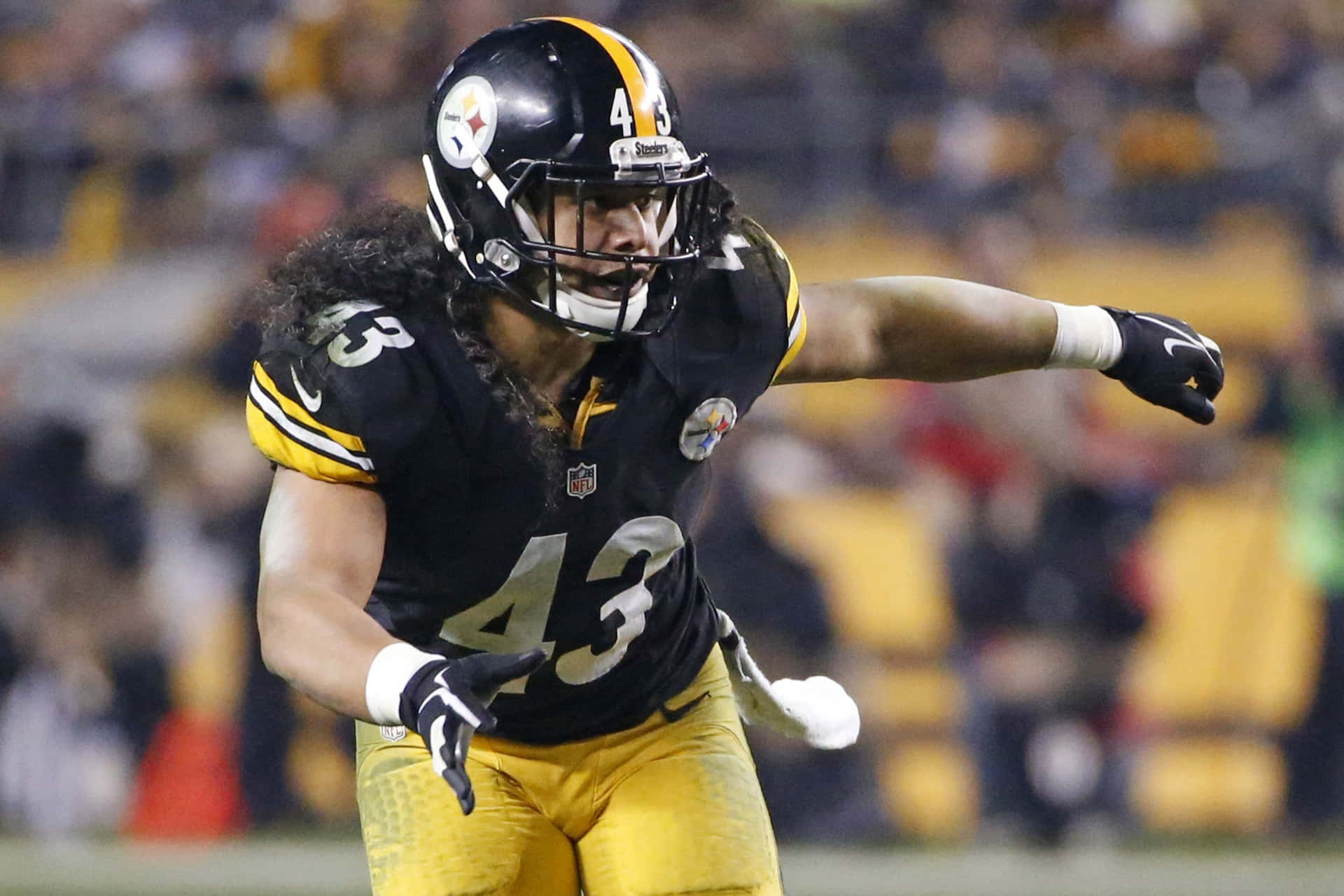 Troy Polamalu, former Pittsburgh Steelers safety Wallpaper