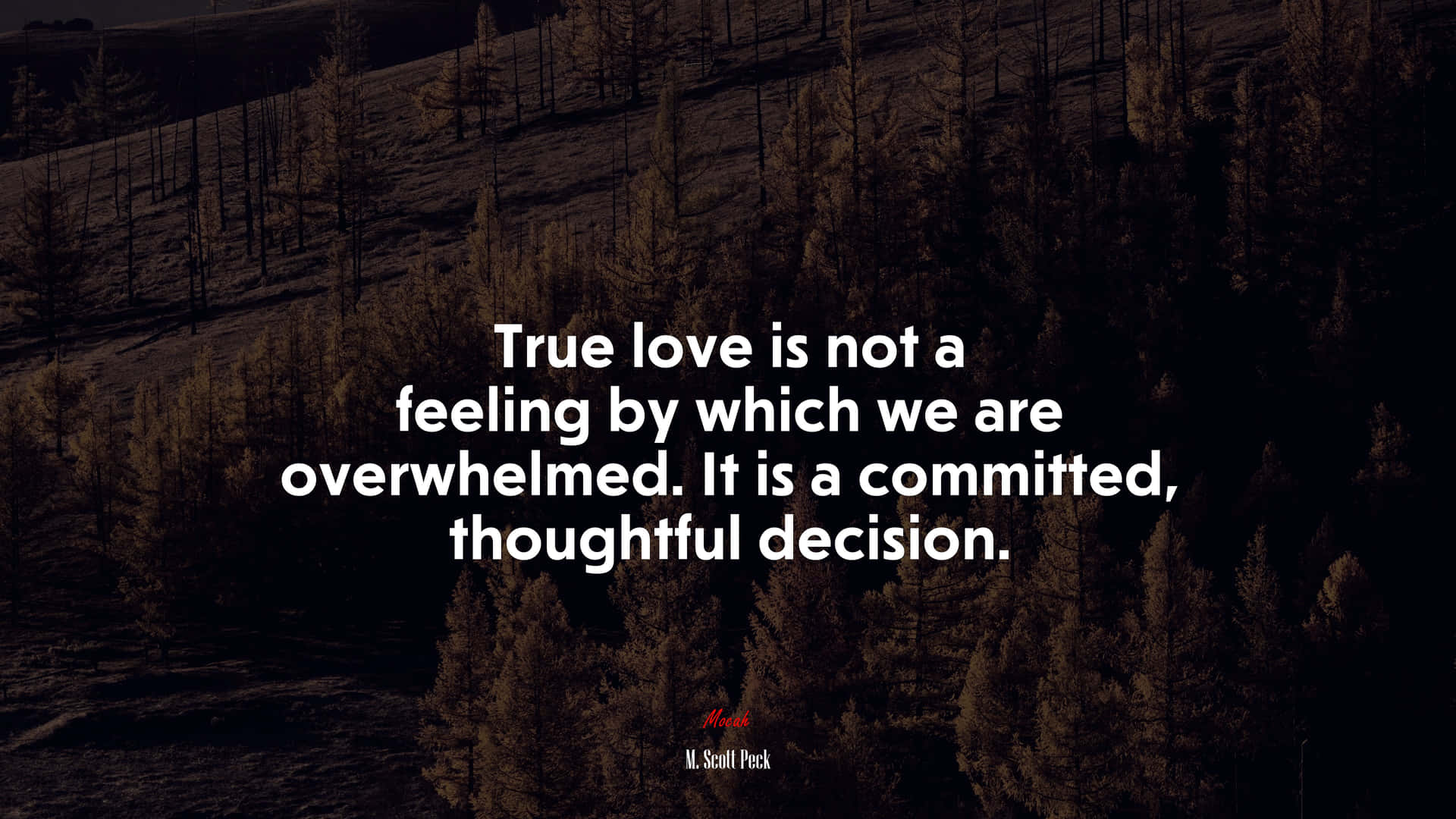 True Love Is Not Being Overwhelmed Wallpaper