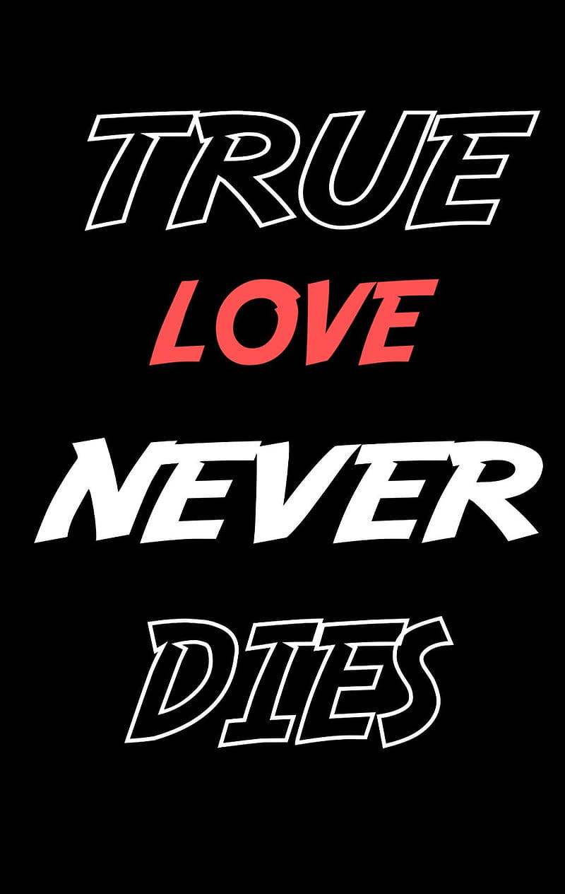 Download True Love Quote Wallpaper 