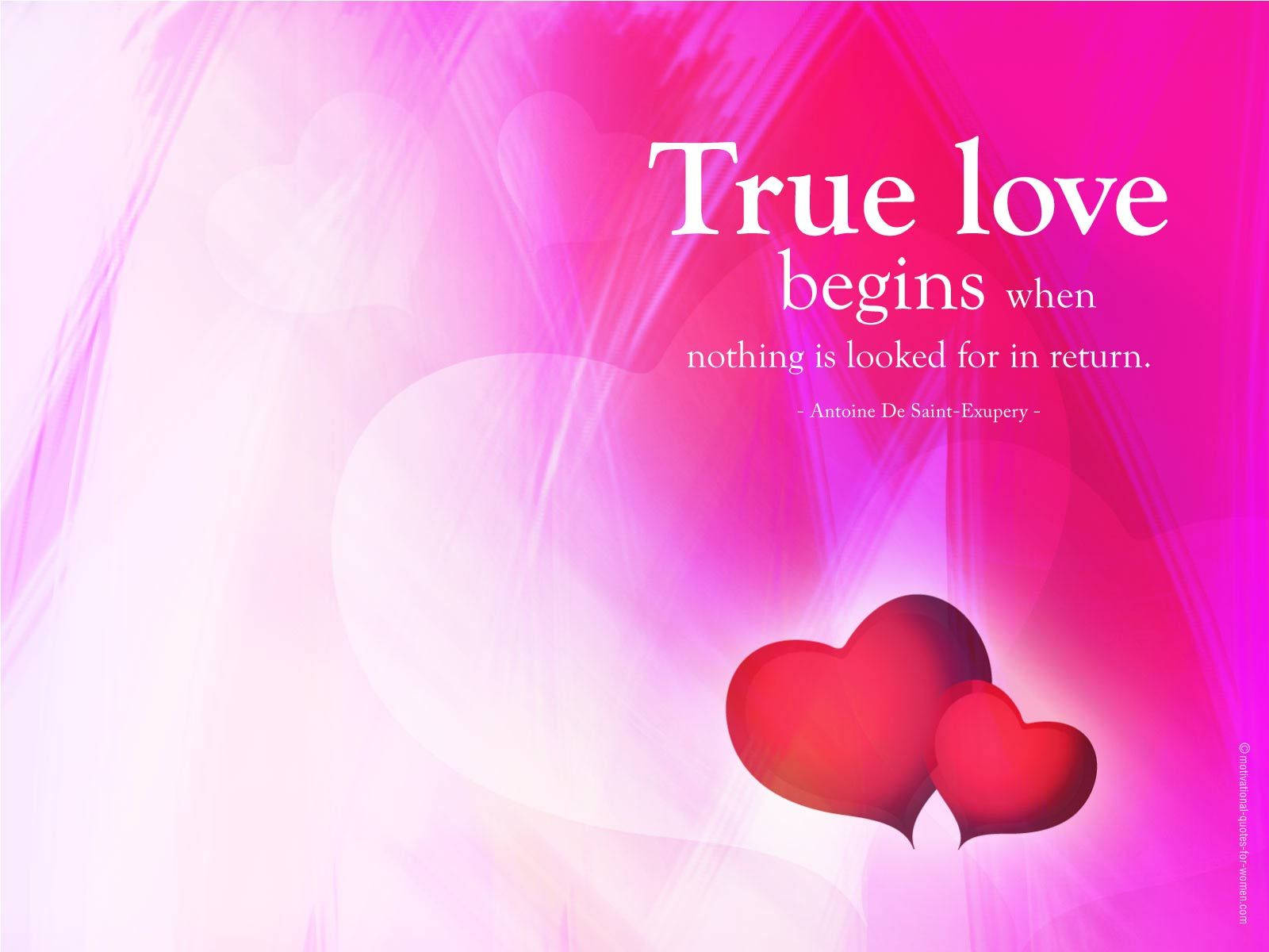 True love là gì 6 dấu hiệu giúp bạn nhận biết True love  Vua Nệm