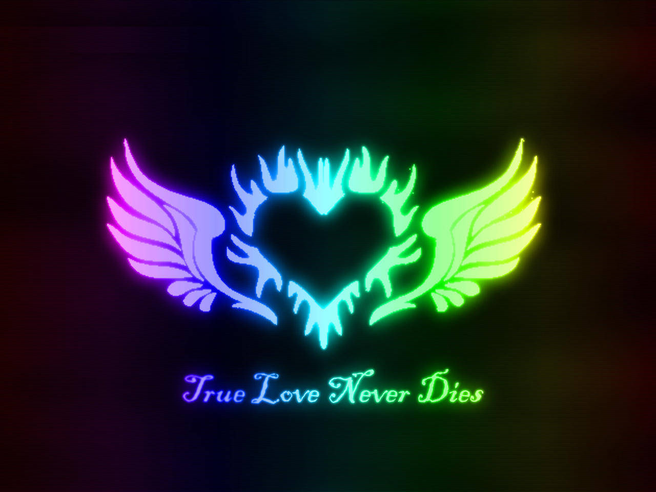 True Love Winged Heart Wallpaper