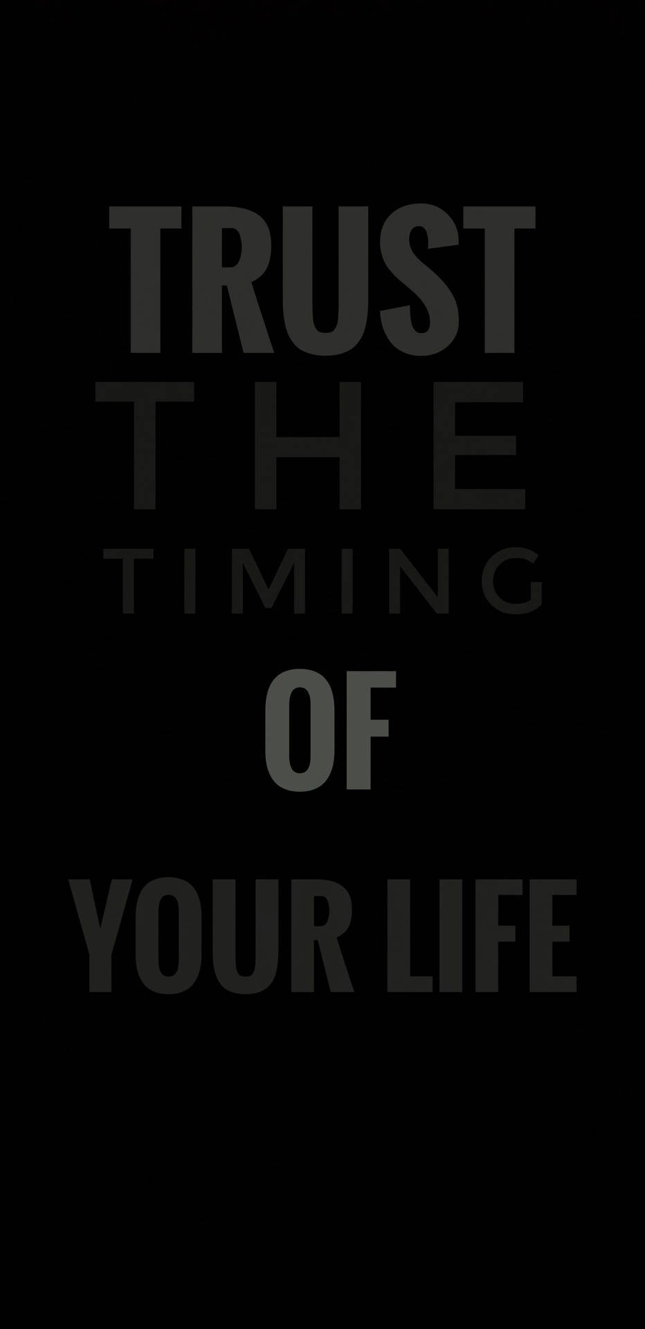 Trust The Timing Quote Wallpaper