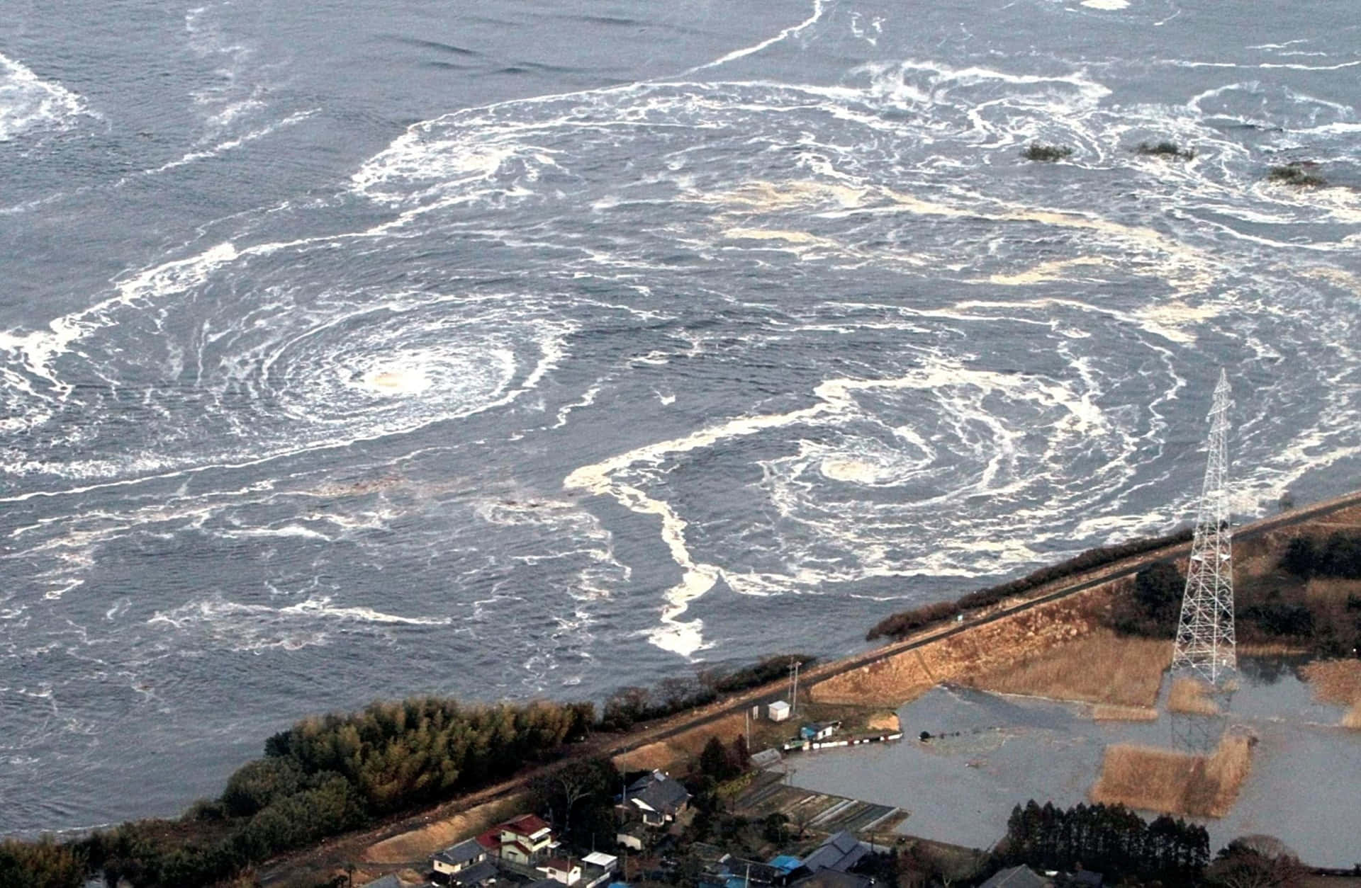 Aftermath of a Tsunami