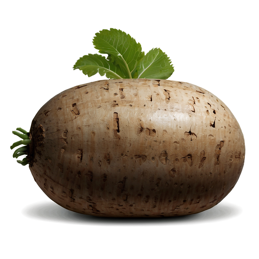 Tuber Icon Png 05252024 PNG