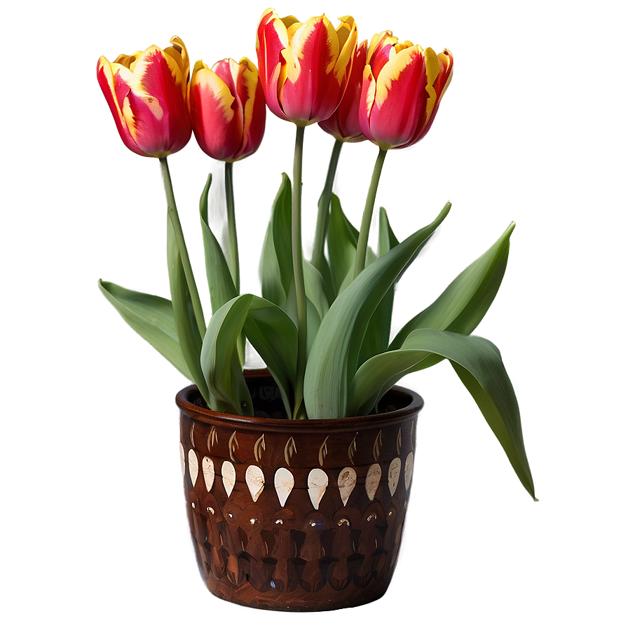 Tulip In Pot Png Mpl52 PNG