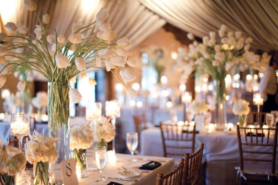 Weißetulpen In Vasen Auf Einem Tisch