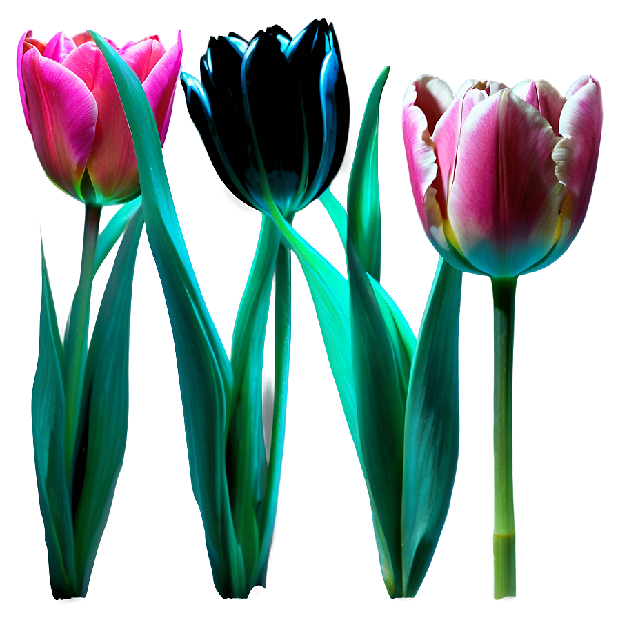 Tulip Stem Png Akh91 PNG