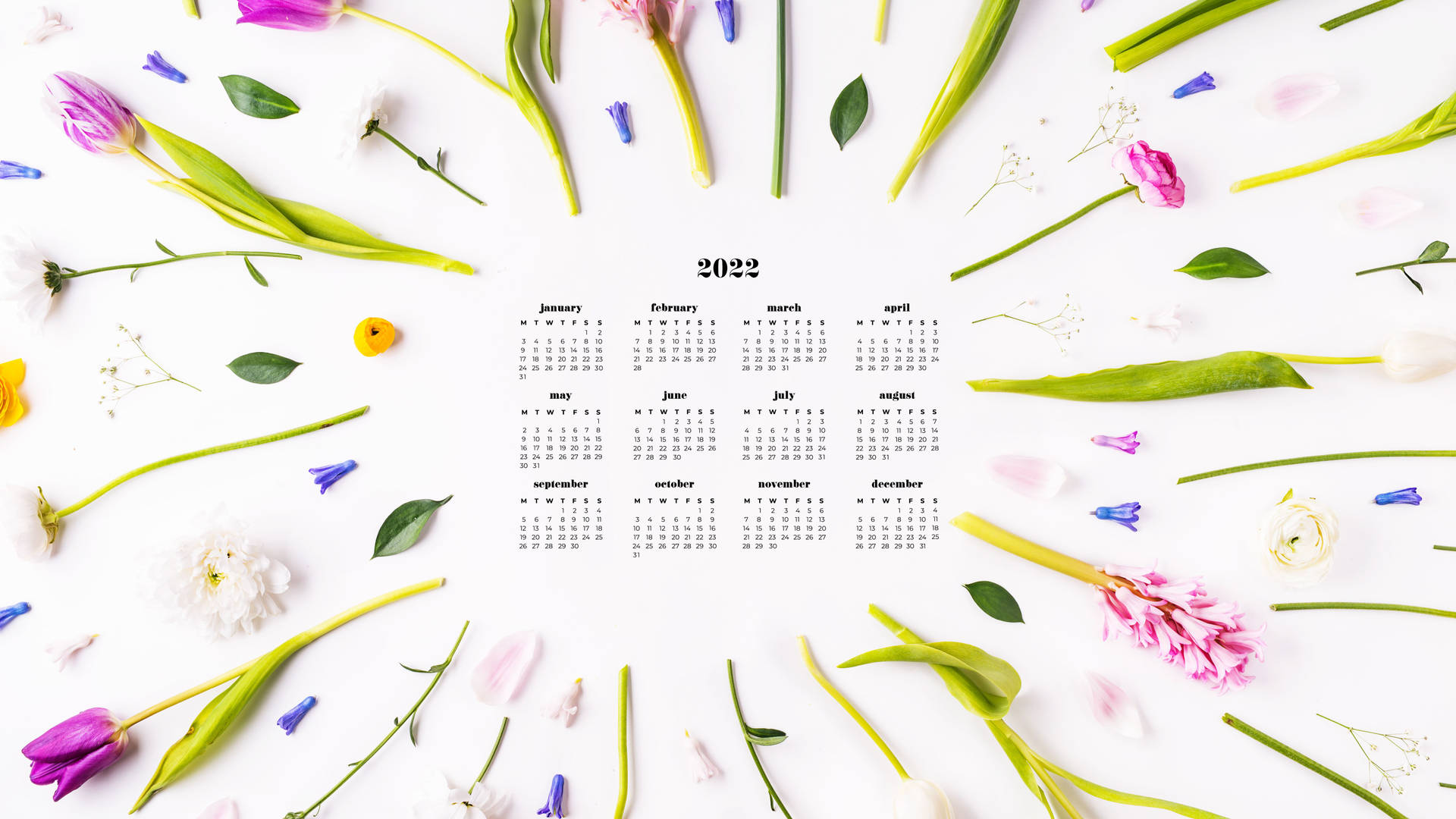 Tulips 2022 Calendar Wallpaper