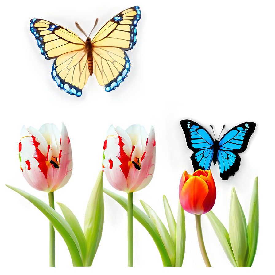 Tulips And Butterflies Png 05242024 PNG