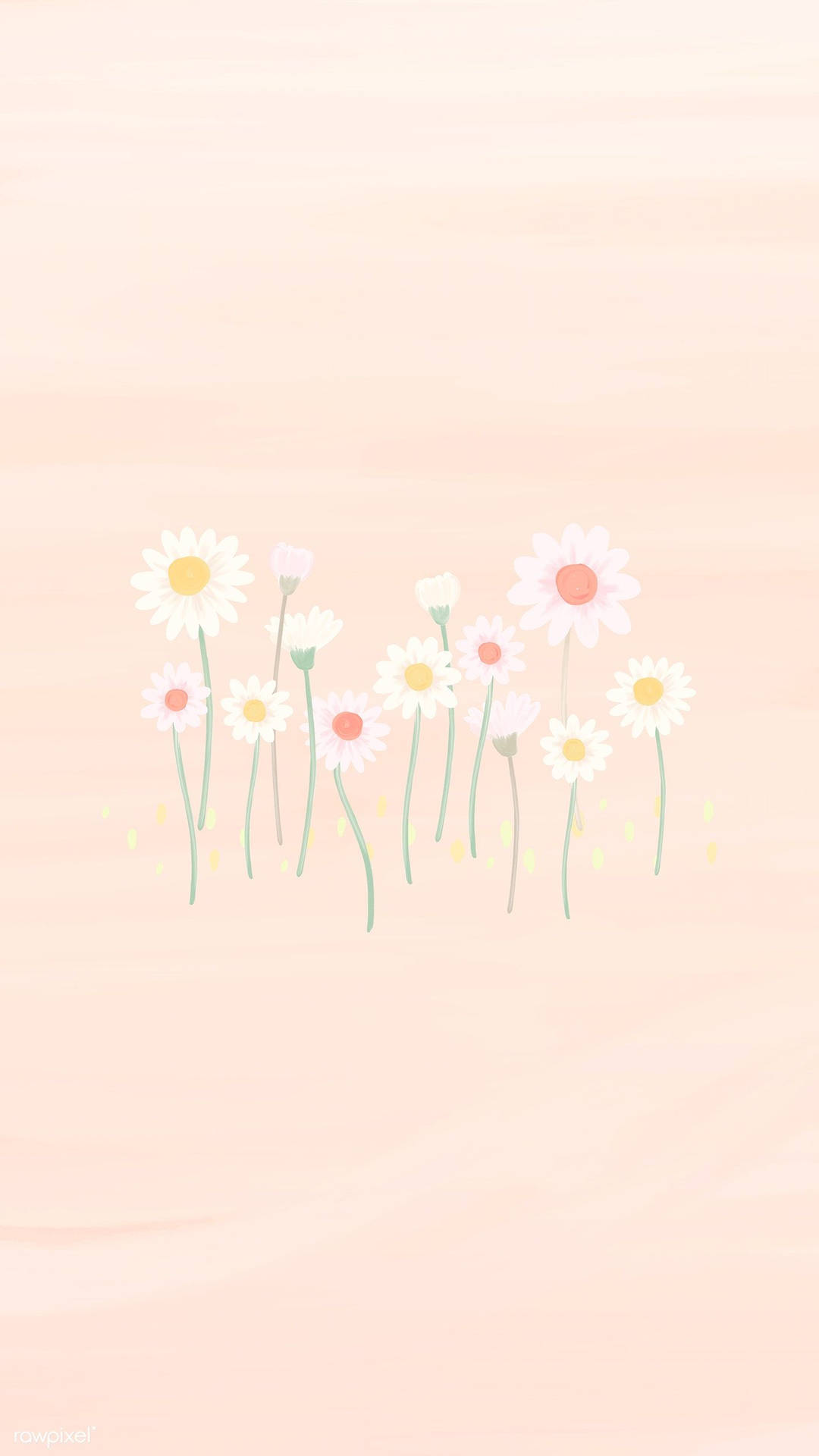Tulipaner og hvide Daisy iPhone Wallpaper Wallpaper