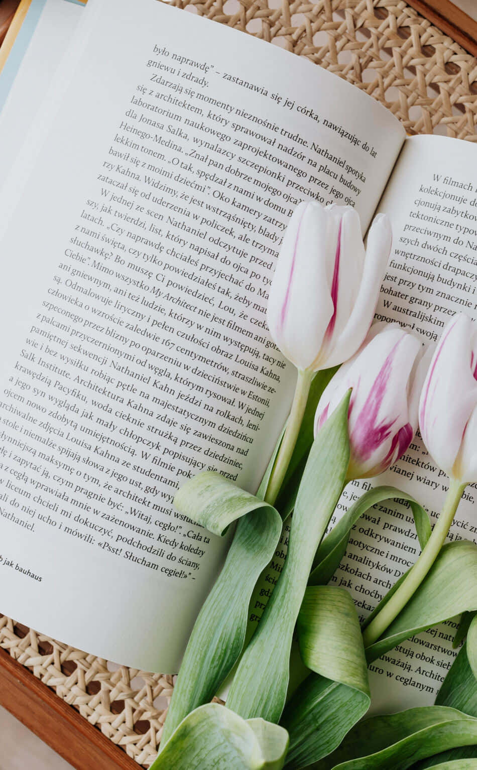 Tulips_on_ Open_ Book Wallpaper