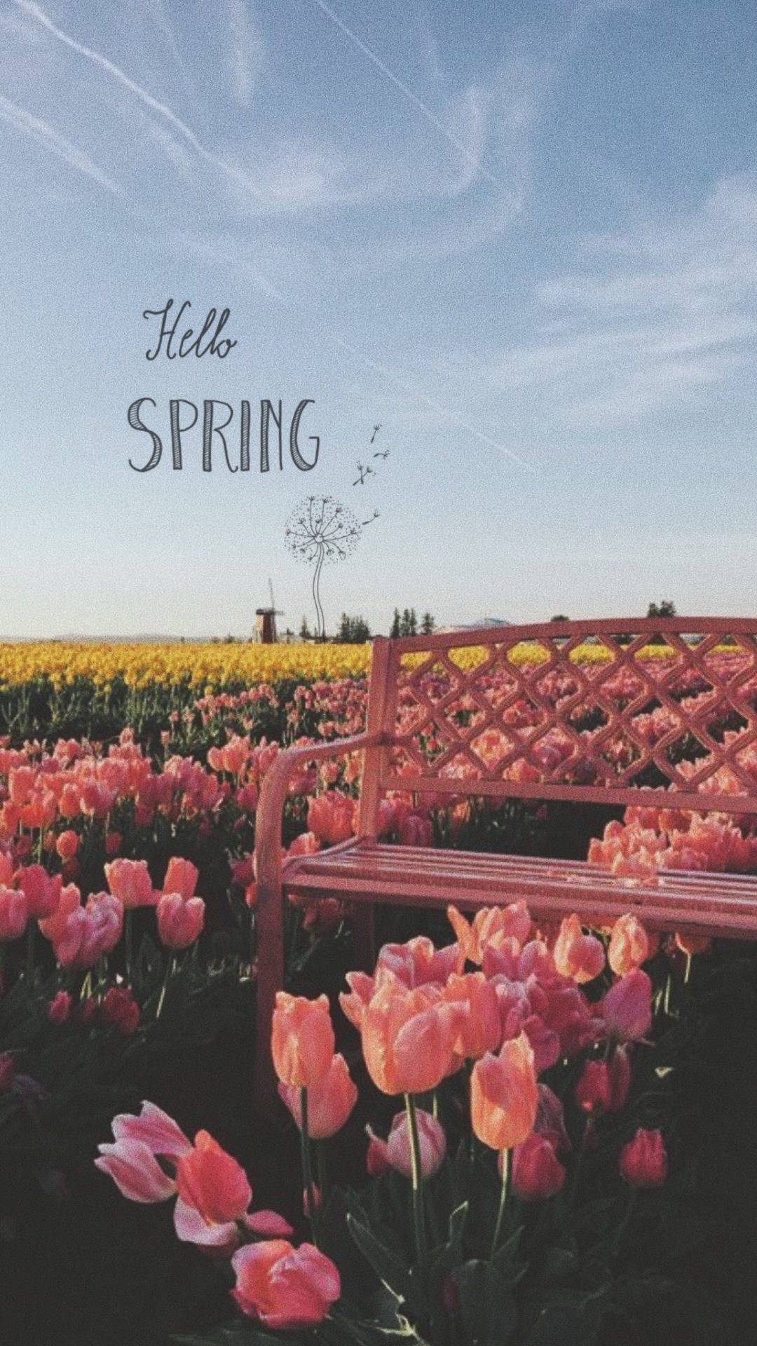 Bienvenidoa La Primavera Con Tulipanes Estéticos. Fondo de pantalla
