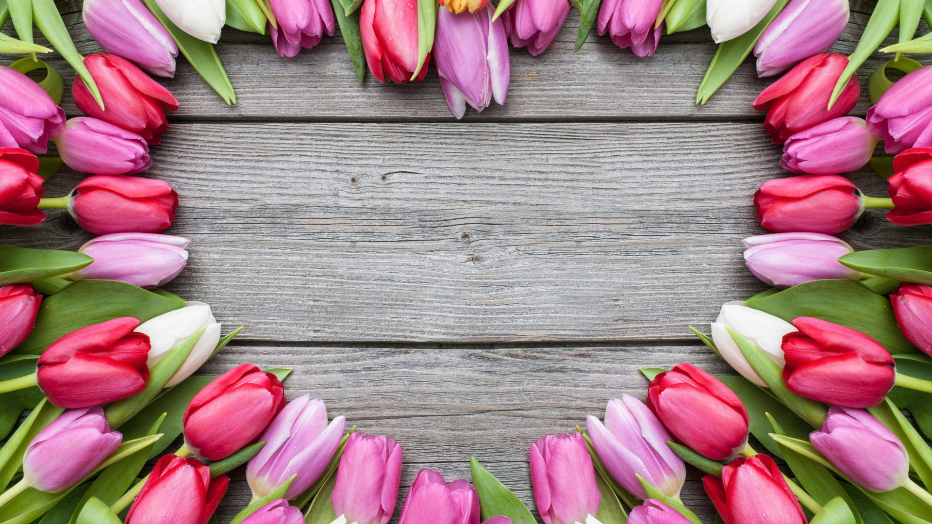 Tulips Wildflower Heart Background