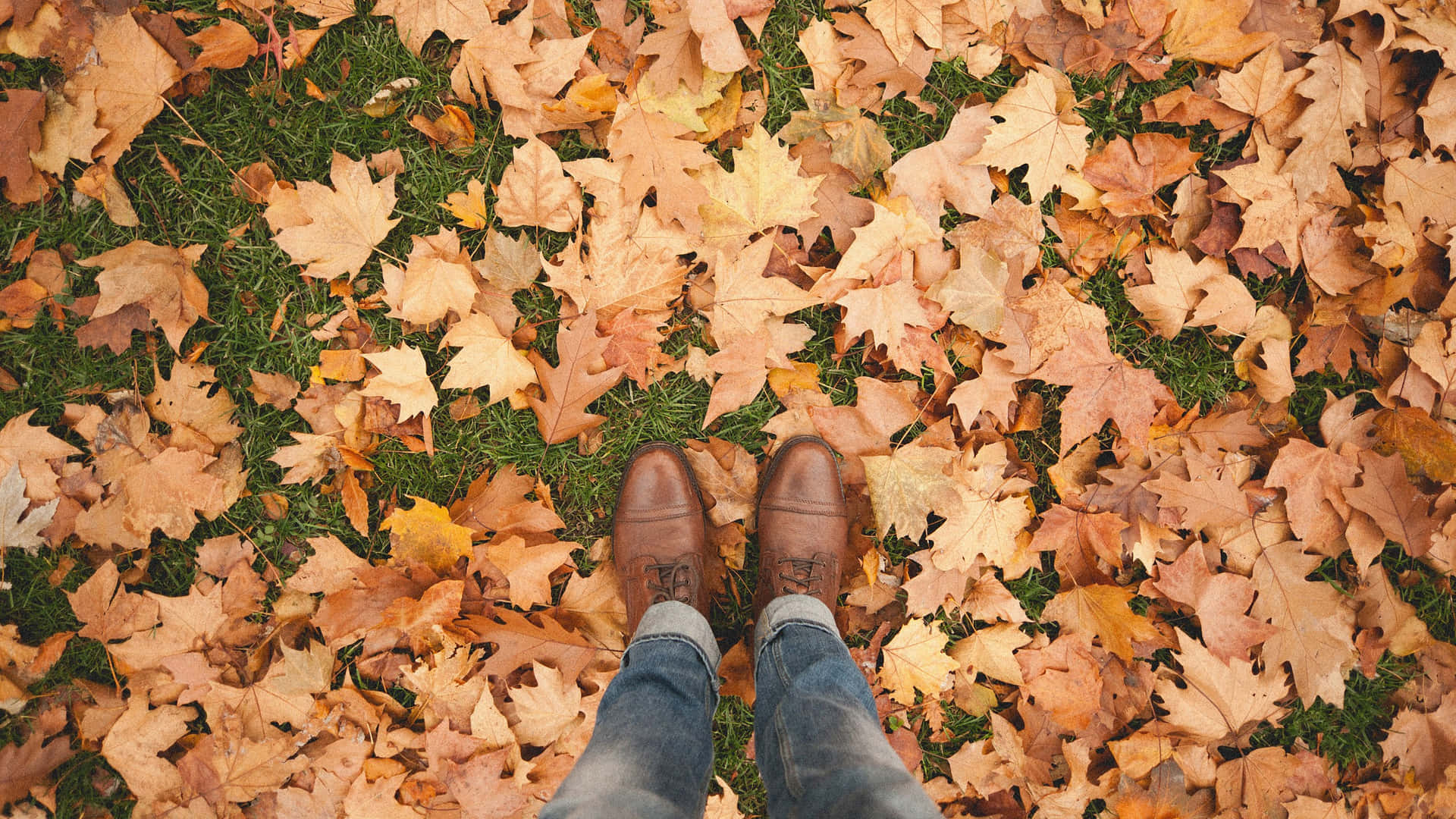 Walking At Tumblr Autumn Desktop Wallpaper