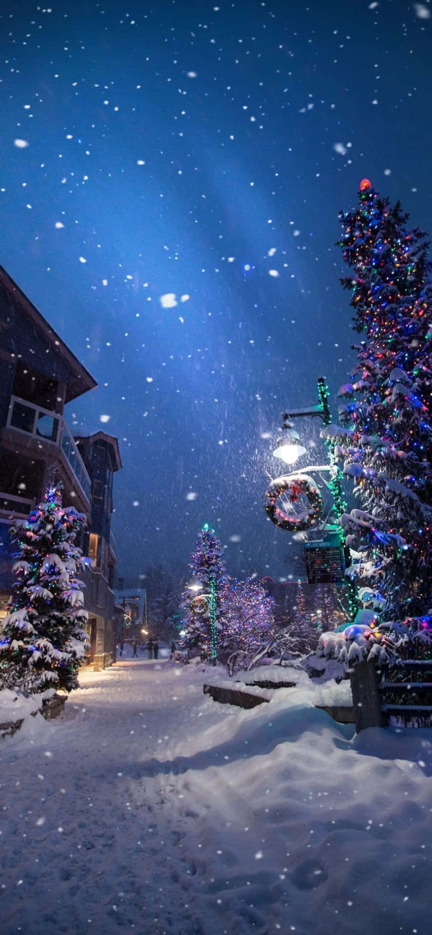 christmas lights and snow tumblr