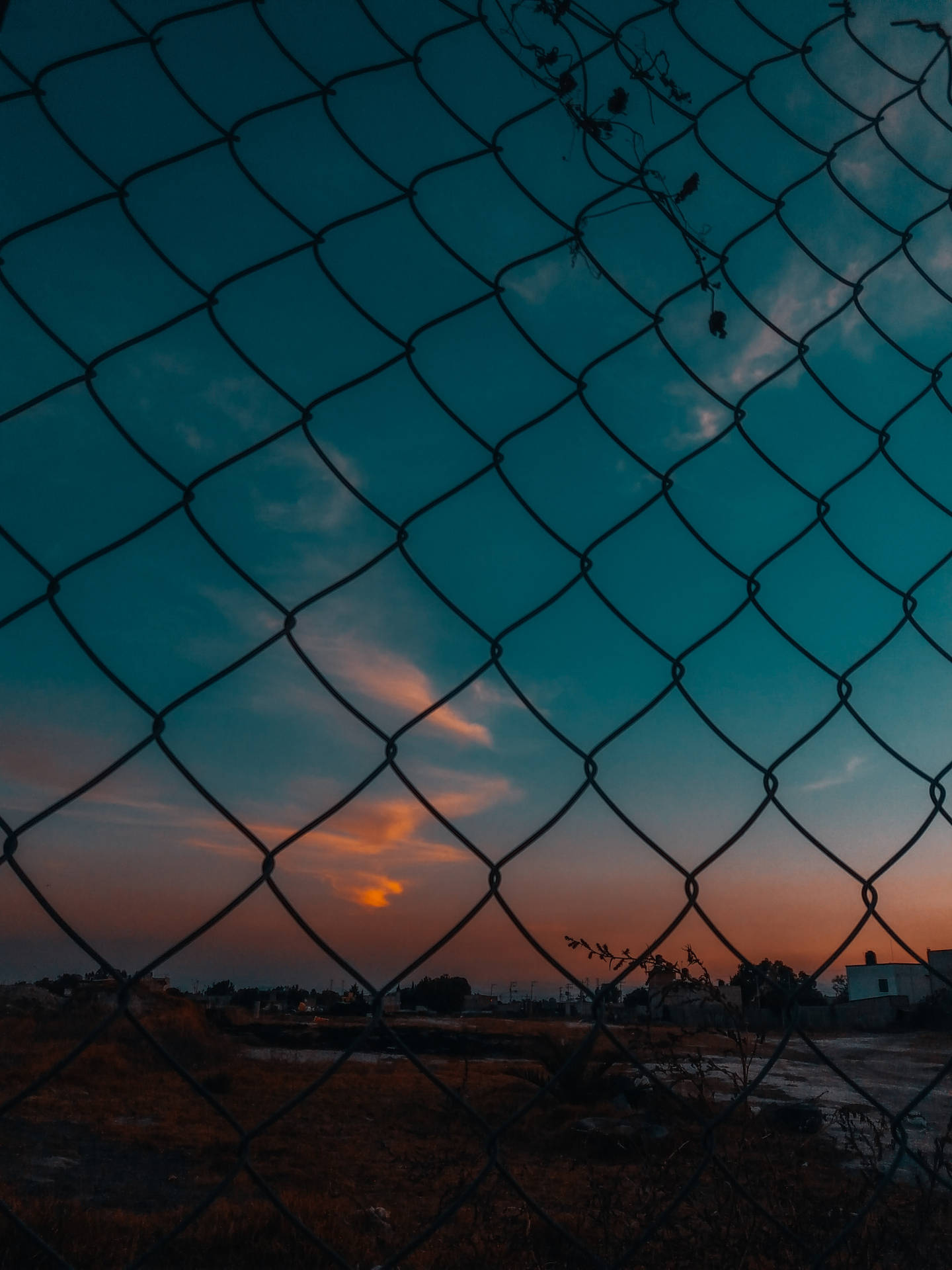 Tumblr Fence In Sunset Wallpaper