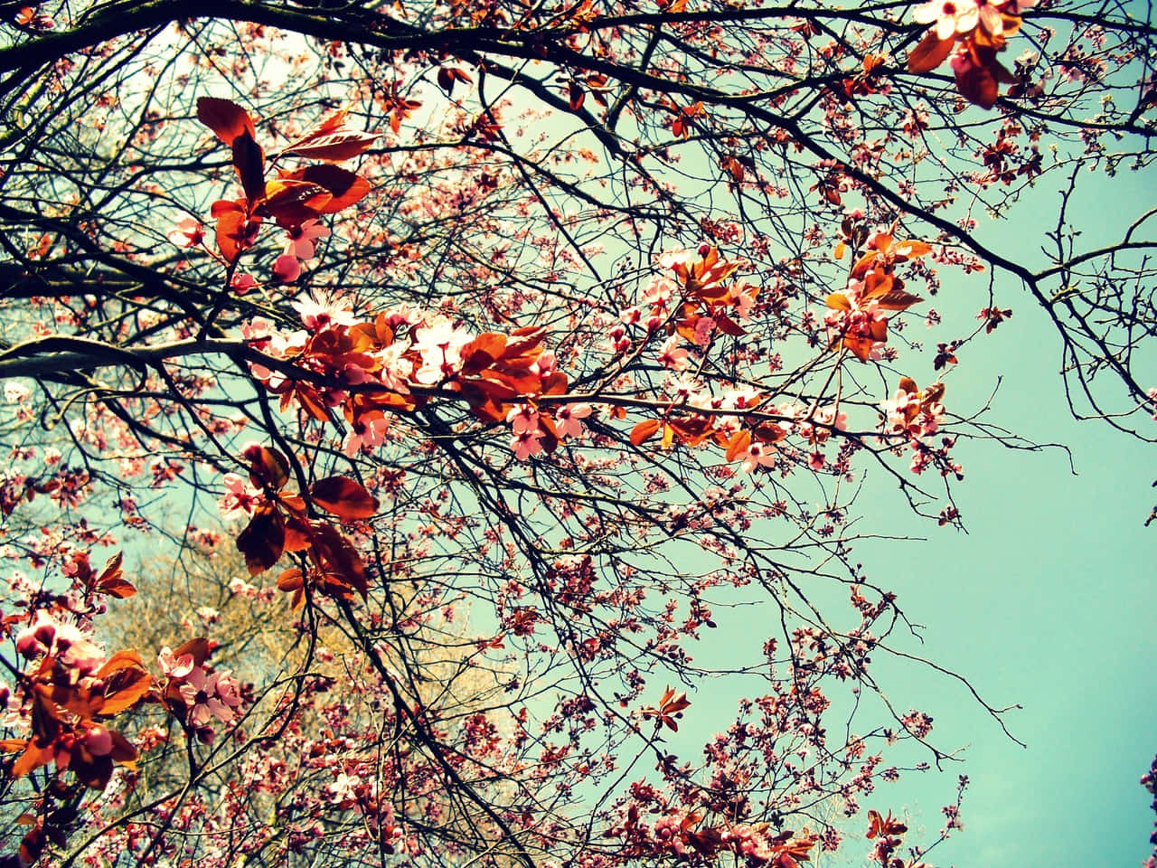 Captivating Floral Arrangement in a Vintage Tumblr-style Background