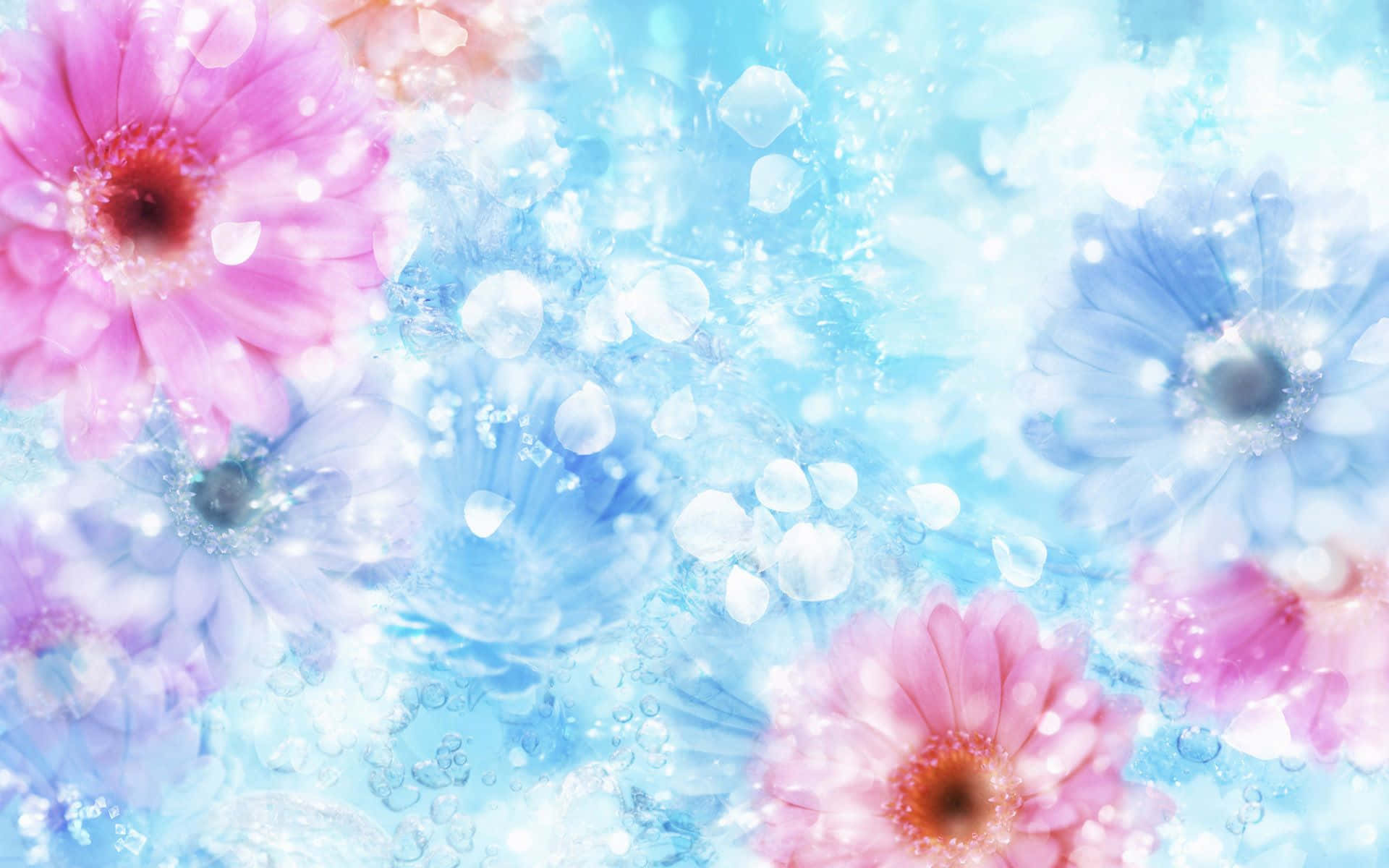 Einverträumtes Rosa Blumen-desktop-hintergrundbild Wallpaper