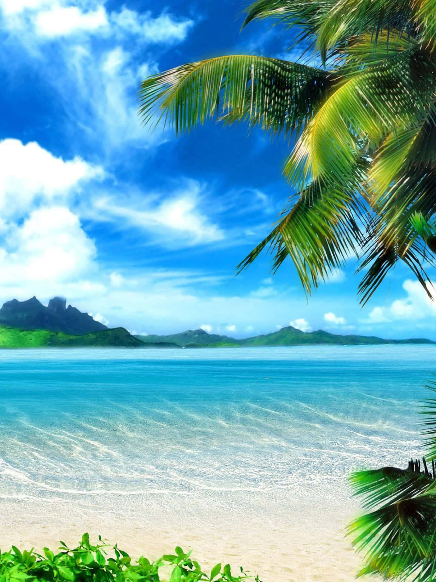 Download Tumblr Ipad Tropical Beach Photography Wallpaper 
