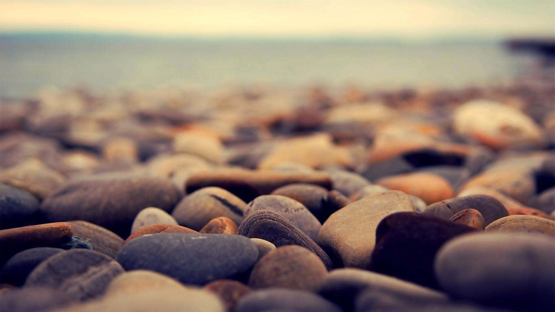 Tumblrfotografia Macro De Pedras Do Mar Papel de Parede