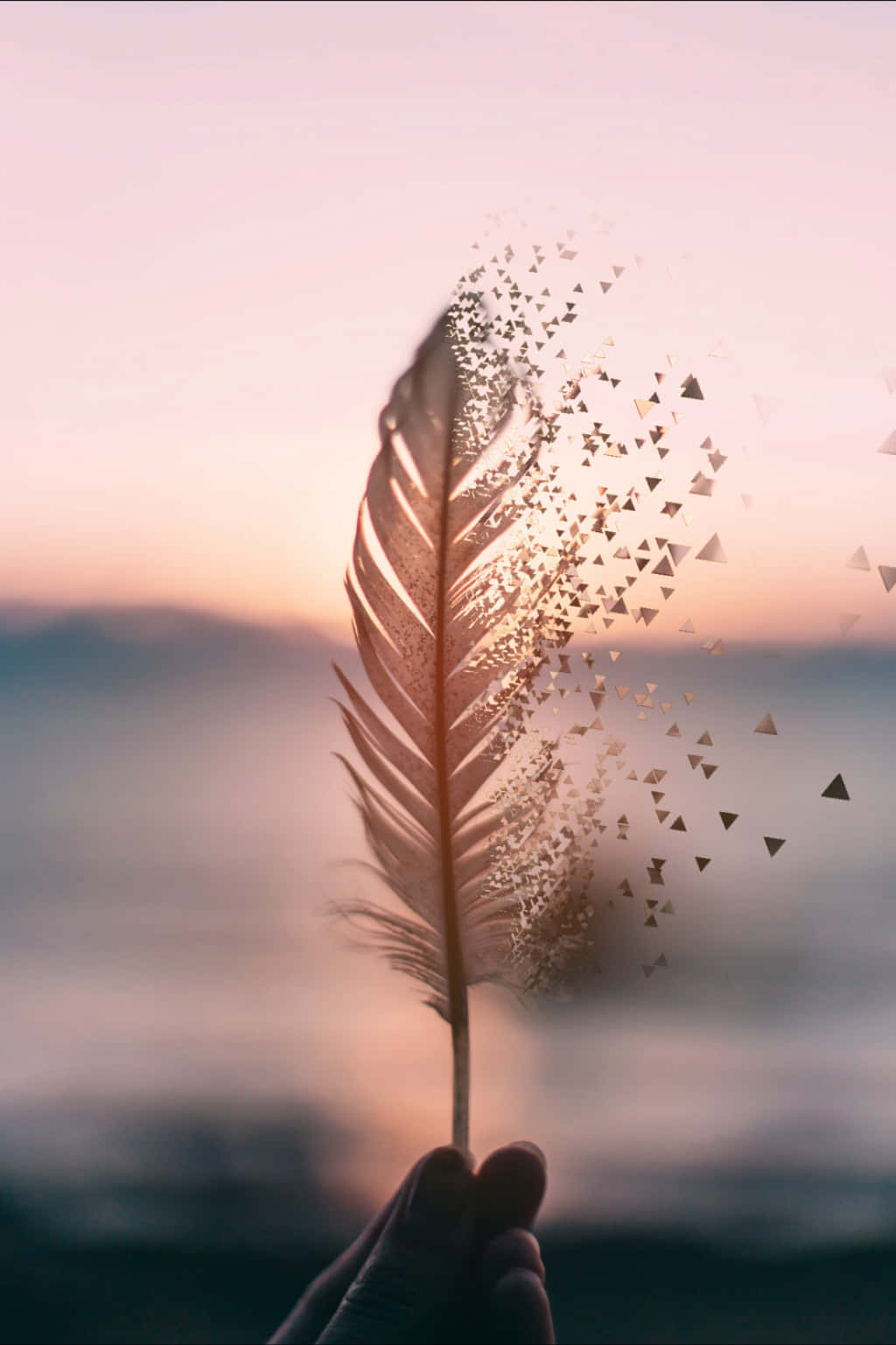Drifting Feather Tumblr Photography iPhone Wallpaper