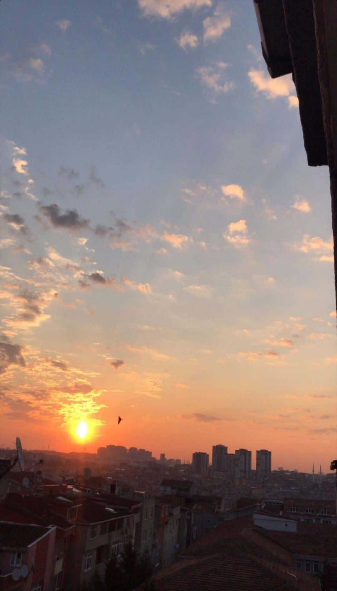 Smukke solnedgangs Tumblr-fotografi iPhone-tapet Wallpaper