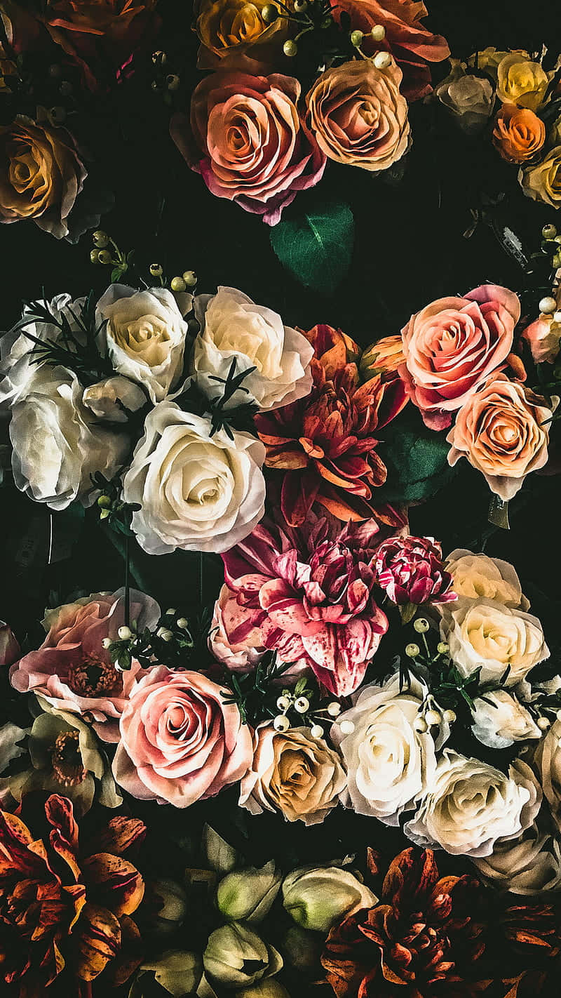 Hermosasflores De Rosas Rojas Capturadas En Este Fondo De Pantalla Hd De Tumblr. Fondo de pantalla