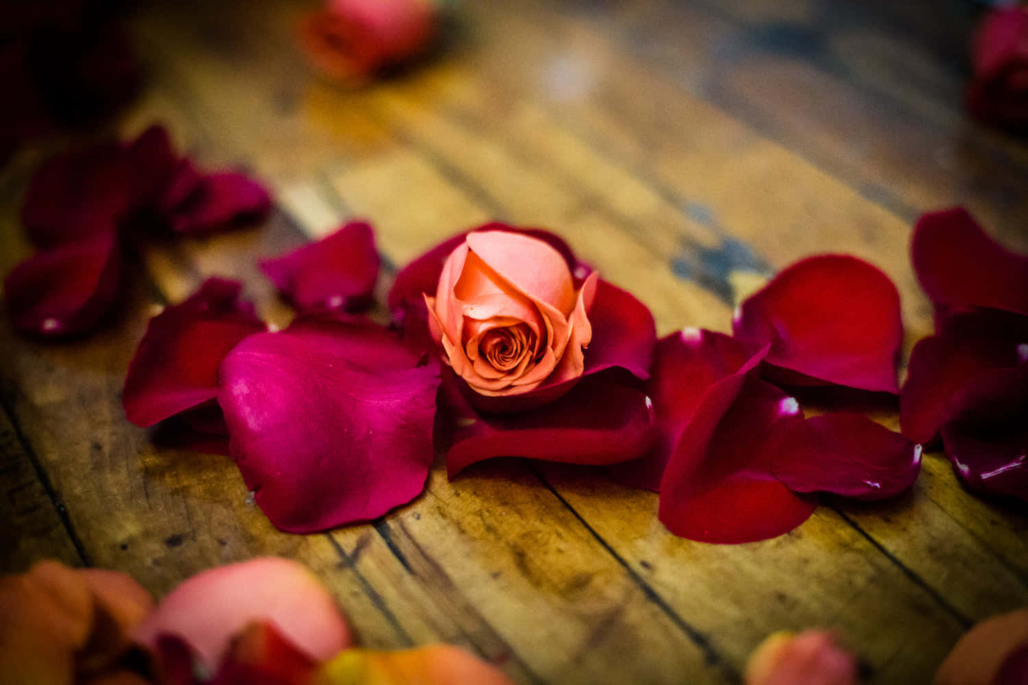 A Rose Is Sitting On A Wooden Floor Wallpaper
