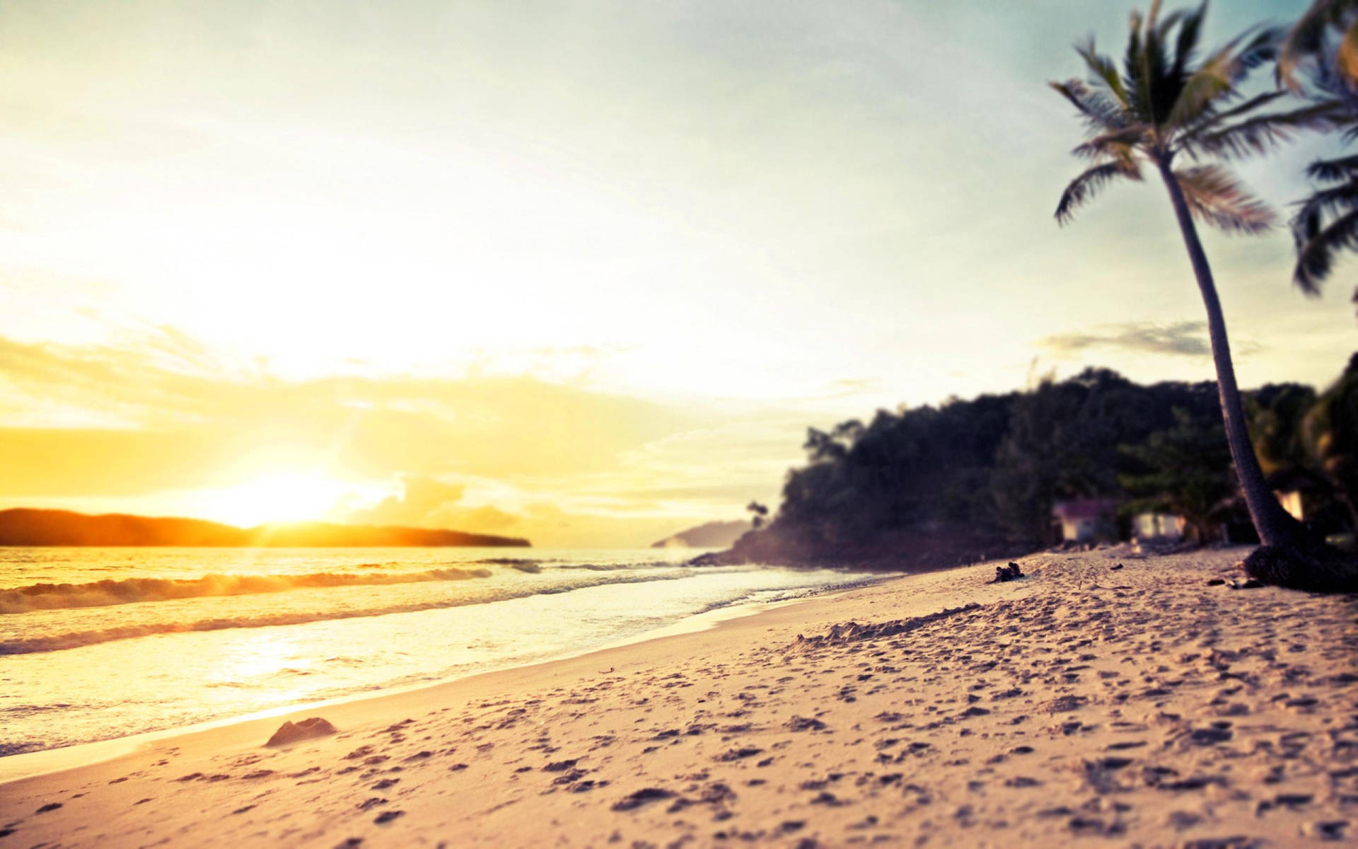 En strand med palmer og solnedgange Wallpaper
