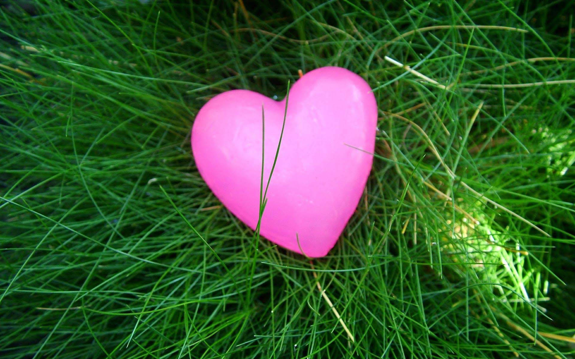 Einpinkes Herzförmiges Objekt Sitzt Auf Dem Gras. Wallpaper
