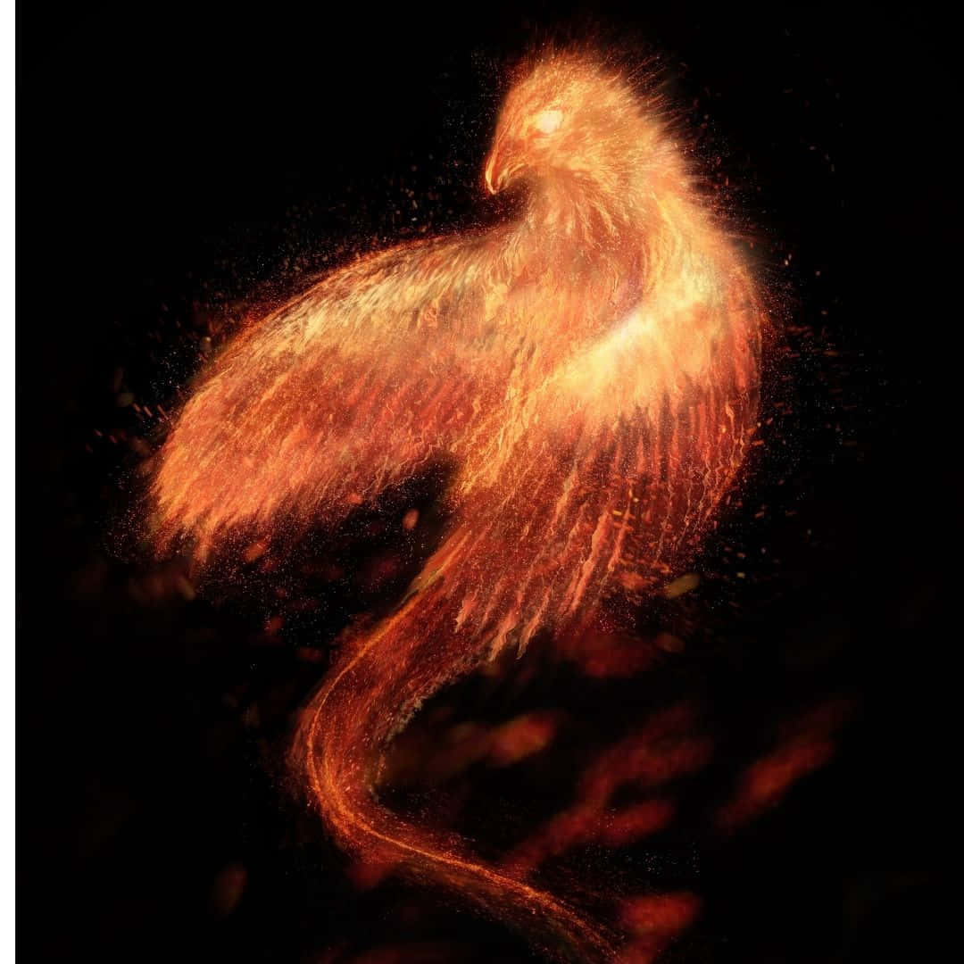 Tumultuous Phoenix Force Wallpaper