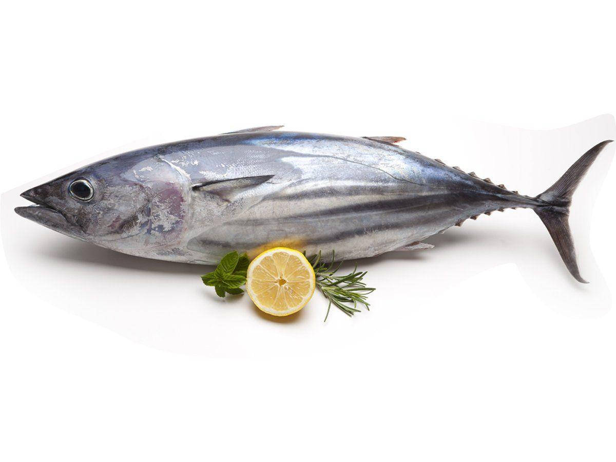 Tuna Fish With A Lemon Wallpaper