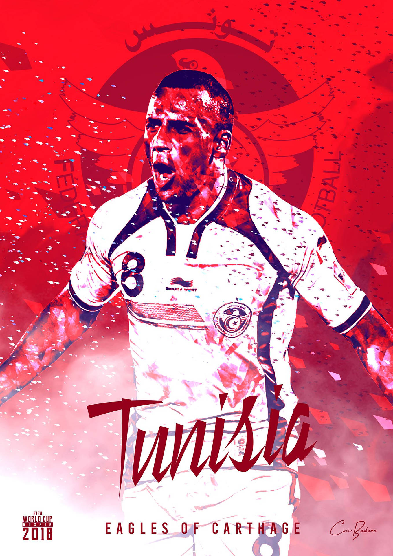 Tunisia National Football Team Eagles Of Carthage Wallpaper