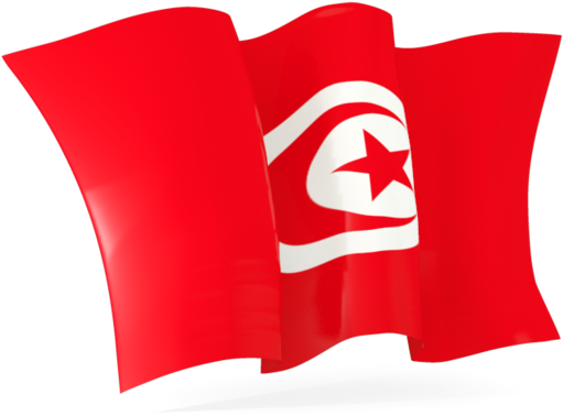 Tunisian Flag Waving PNG