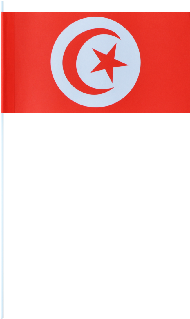 Tunisian National Flag PNG
