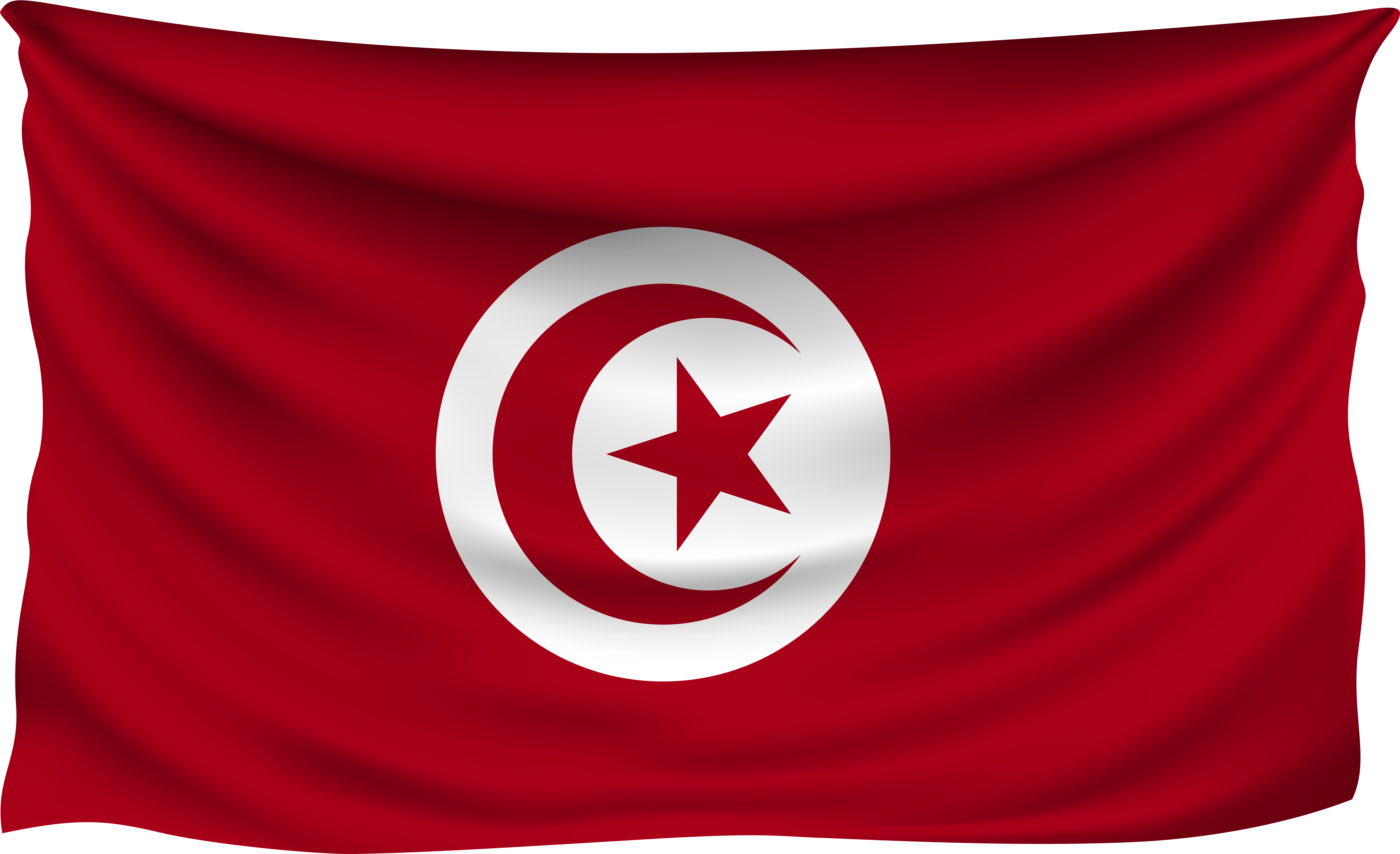 Tunisian National Flag Waving PNG