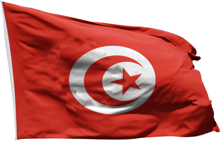 Tunisian National Flag Waving PNG