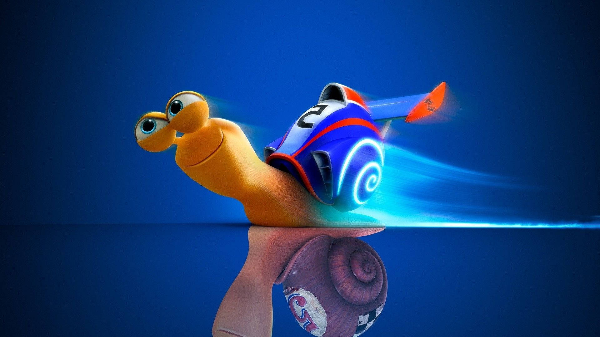 Turbo Snail Fast Blue Background