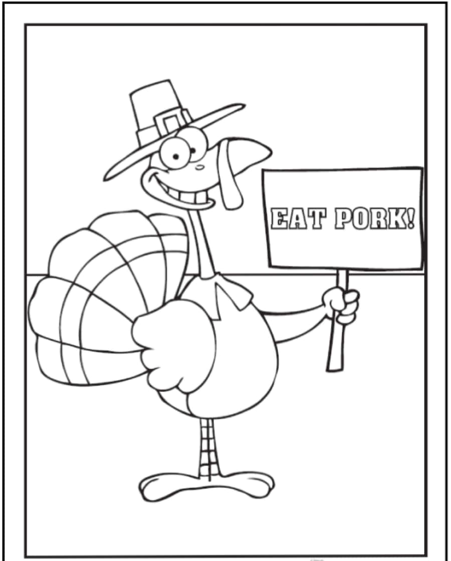 Colorful Turkey Coloring Picture