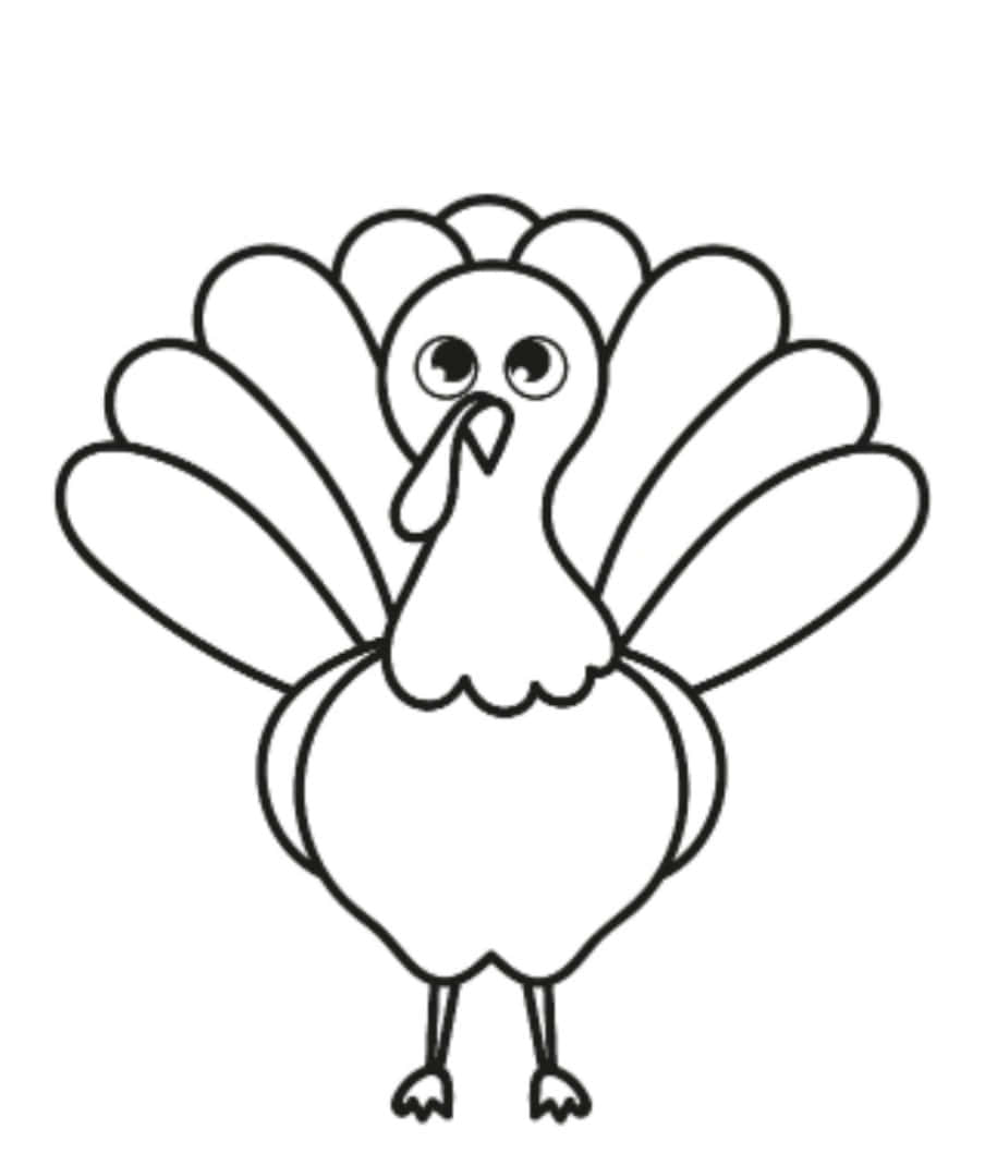 Colorful Thanksgiving Turkey Coloring Sheet