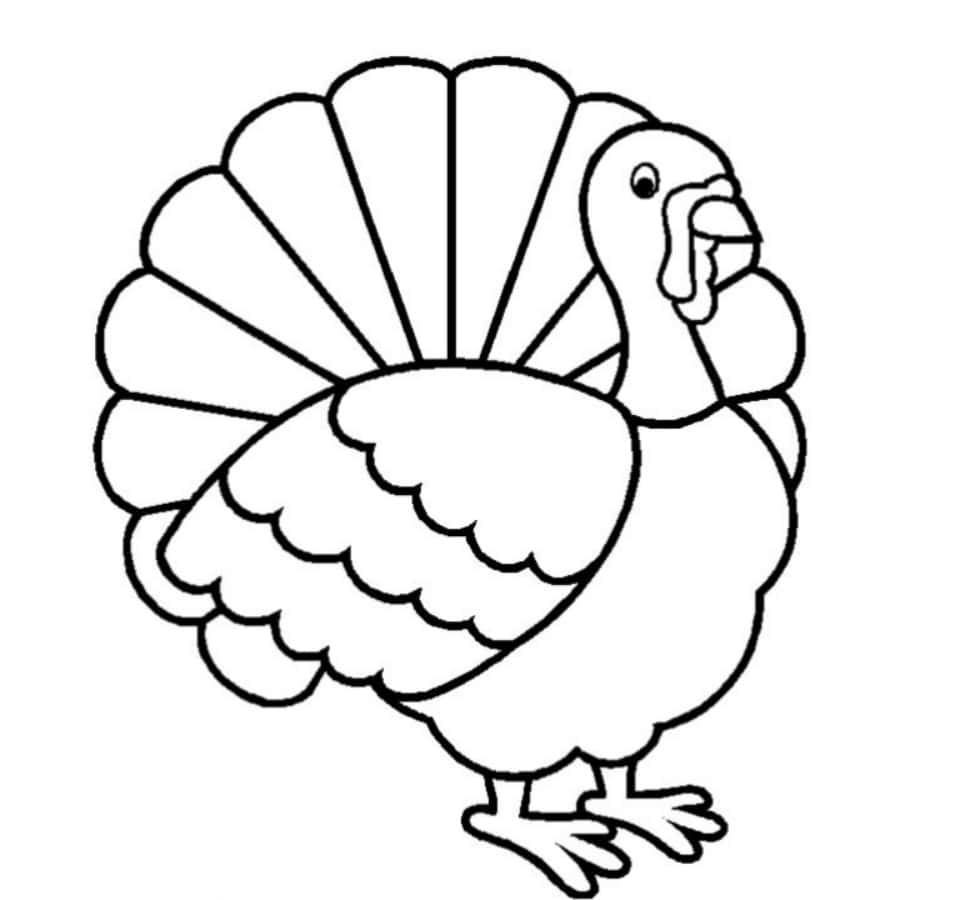 "Happy Thanksgiving! Color in this turkey!"