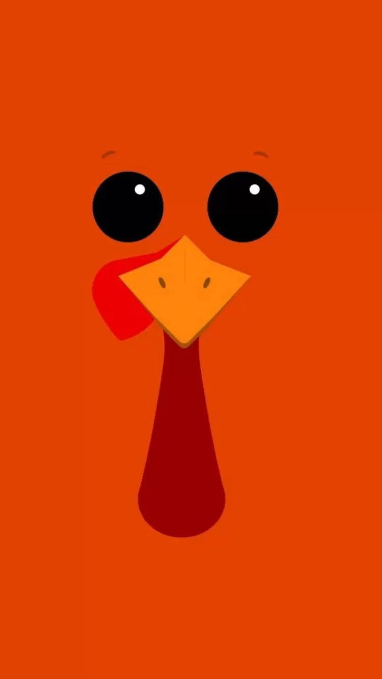 Face Turkey Happy Thanksgiving Wallpaper
