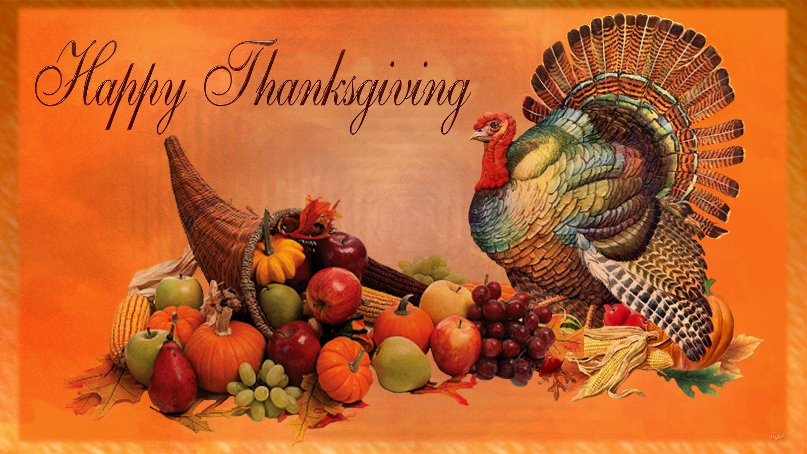 "Happy Thanksgiving, Turkey" Wallpaper