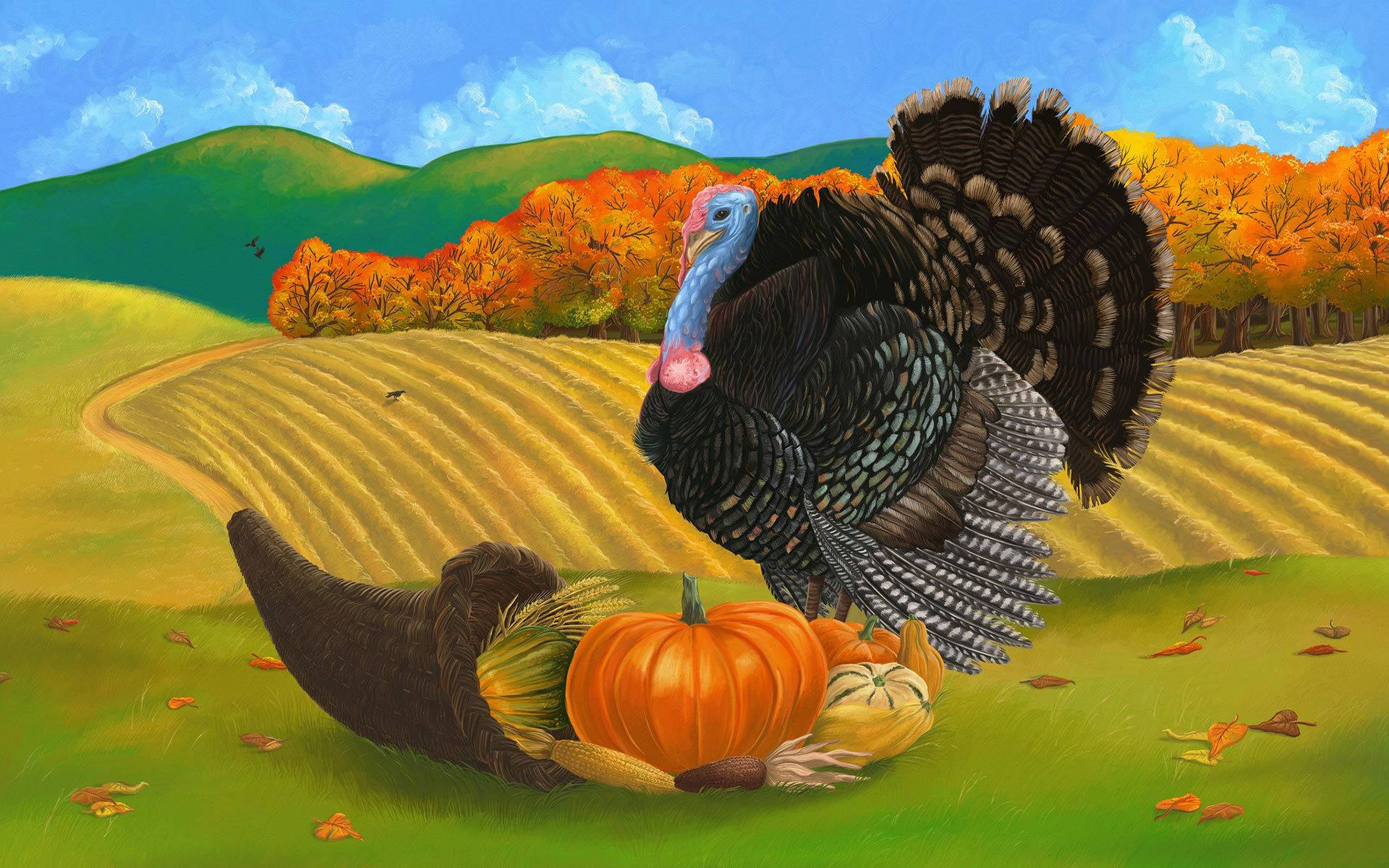Celebrating Thanksgiving in Turkey in Style! Wallpaper