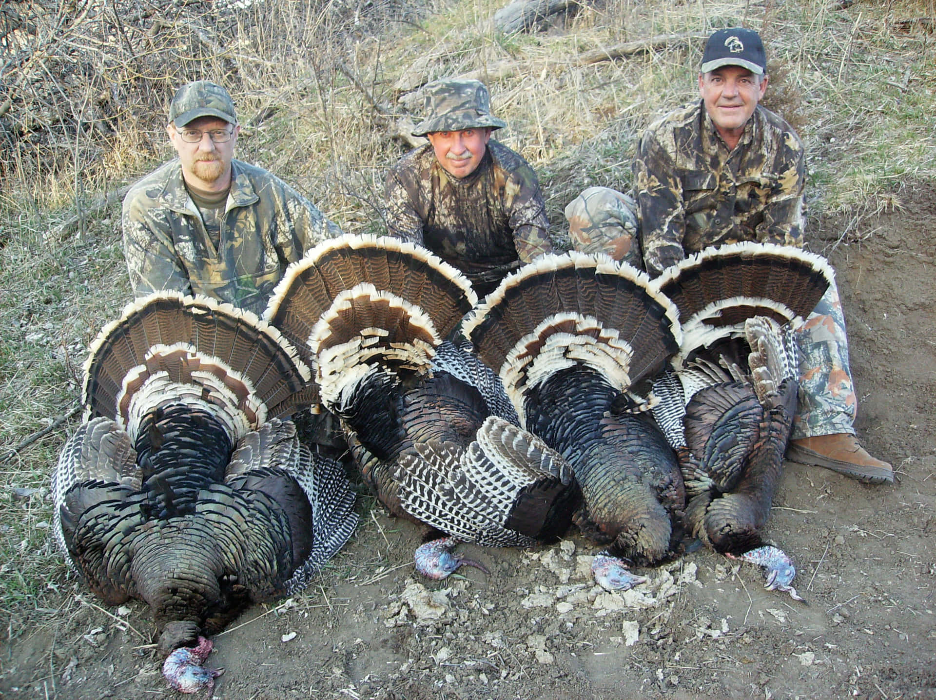 Get Ready for the Perfect Turkey Hunt Wallpaper