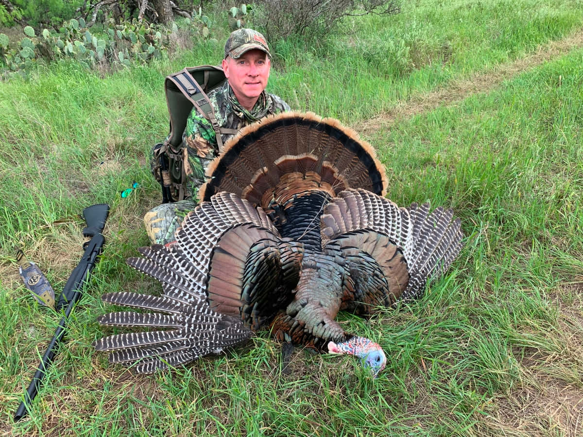 An Exciting Day of Turkey Hunting Wallpaper